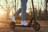 42v Electric Scooters