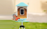 Hummingbird Feeder Cameras